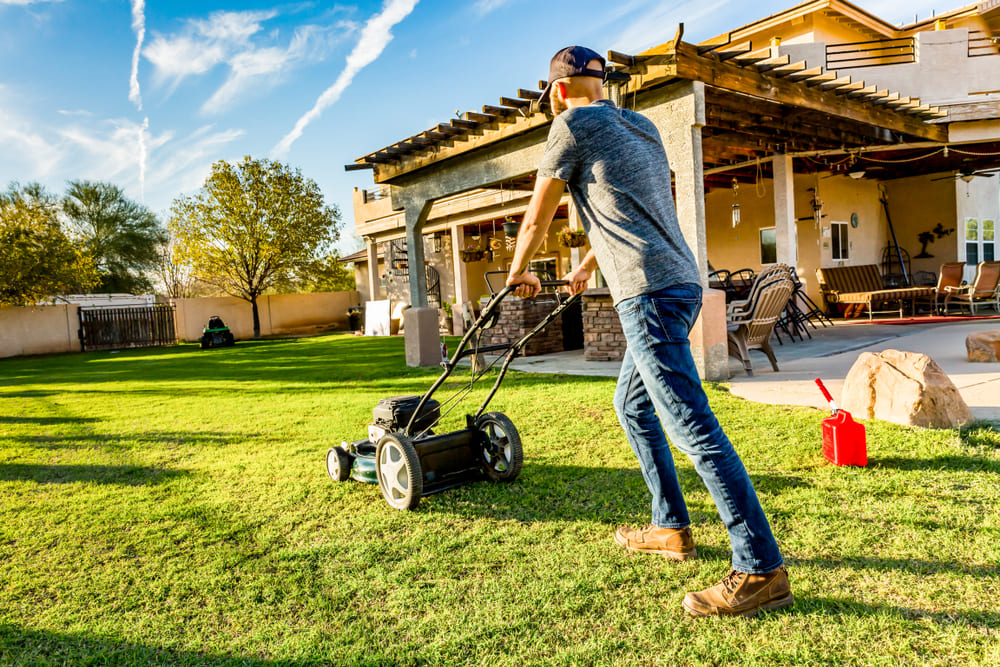 Australia Lawn Care tips