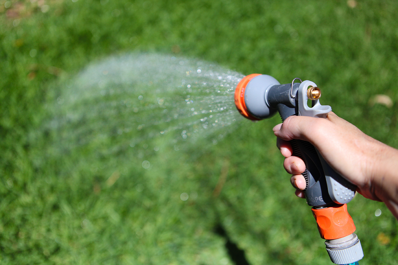 A person watering backyard lawn - sustainable lawn care