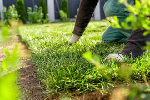 Lawn-Care-Tips-Fixing-Sides-of-a-Lawn