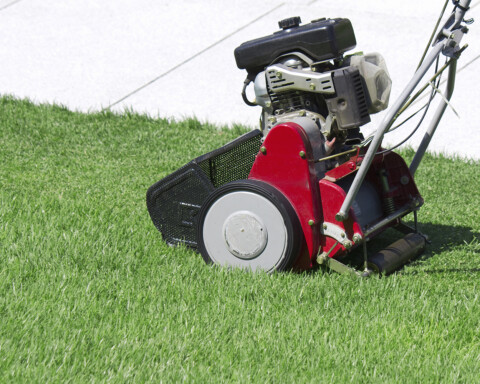 Lawn-Care-Tips-The-right-mowing-tool-for-your-lawn