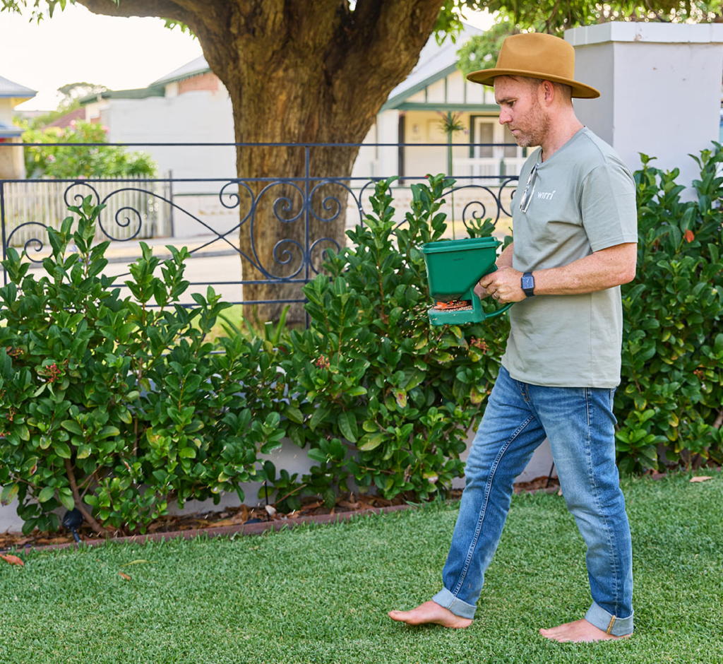 Lawn-Care-Tips-Applying-granulars