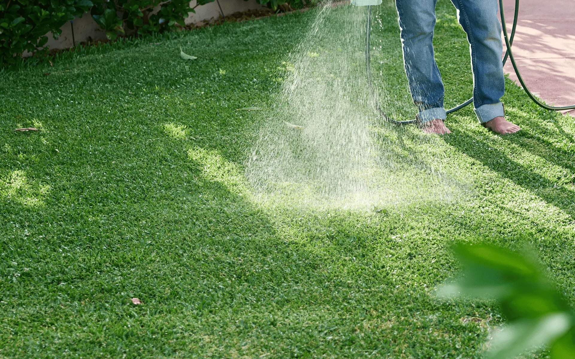 Spring Lawn Care Priorities for Australian Lawns