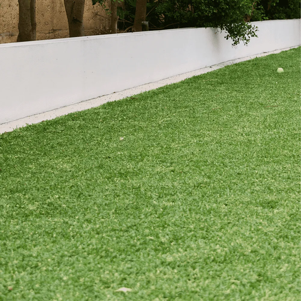 Australian-Lawn-Care-Green-lush-lawn-in-the-morning