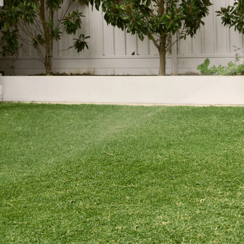 Australian-Lawn-Care-well-maintained-lawn
