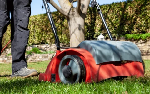 Australian-Lawn-Care-Keeping-lawn-clean-using-a-mower