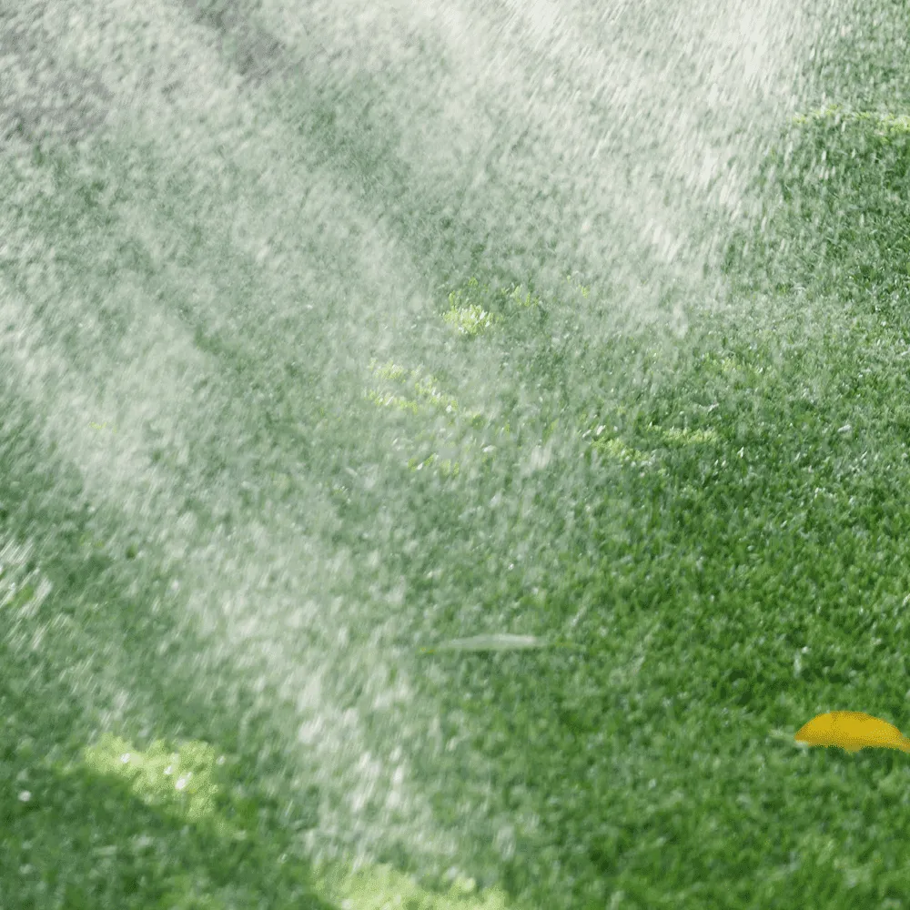 Australian-Lawn-Care-Early-morning-lawn-watering-routine