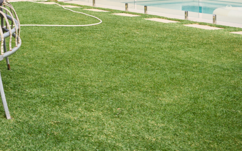 Australian-Lawn-Care-to keep a healthy lush lawn in Autumn