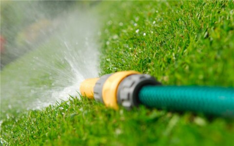 Lawn Watering Tips for the Summer to Autumn Transition in Australia