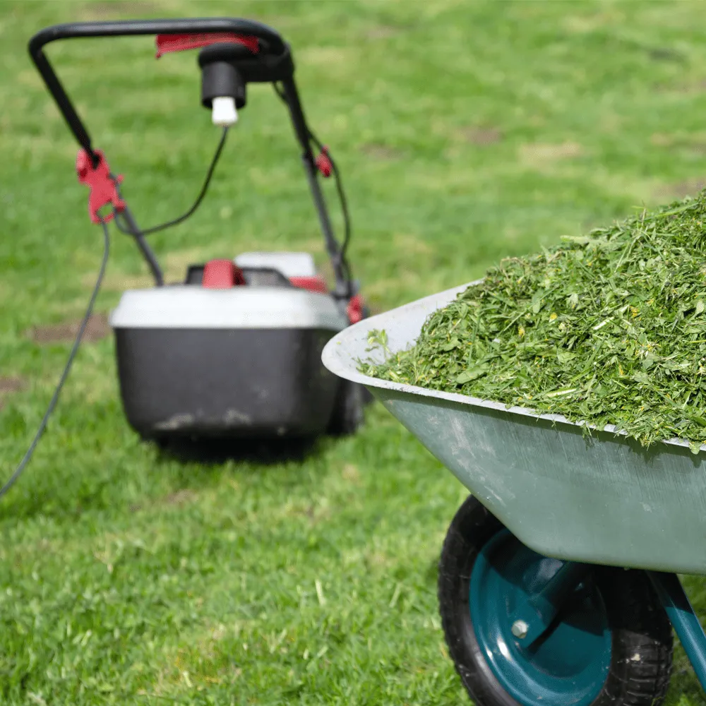 Low-maintenance-lawn-care-autumn-Mowing-tips-during-autumn